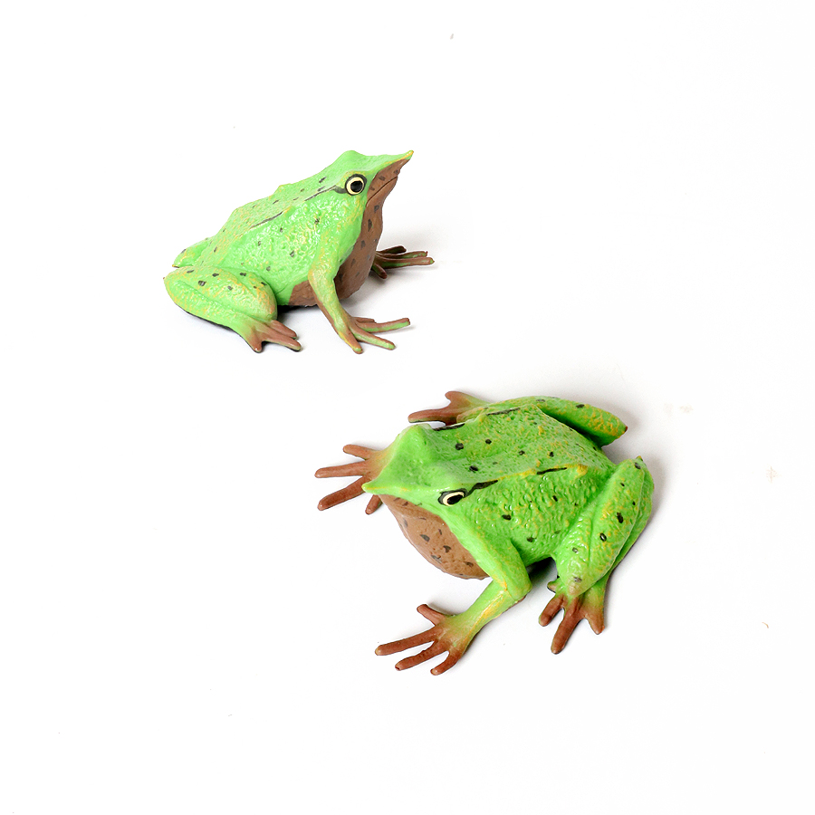 Rainforest Animals Frogs Figur – Kids Toys Review recenzja i cena