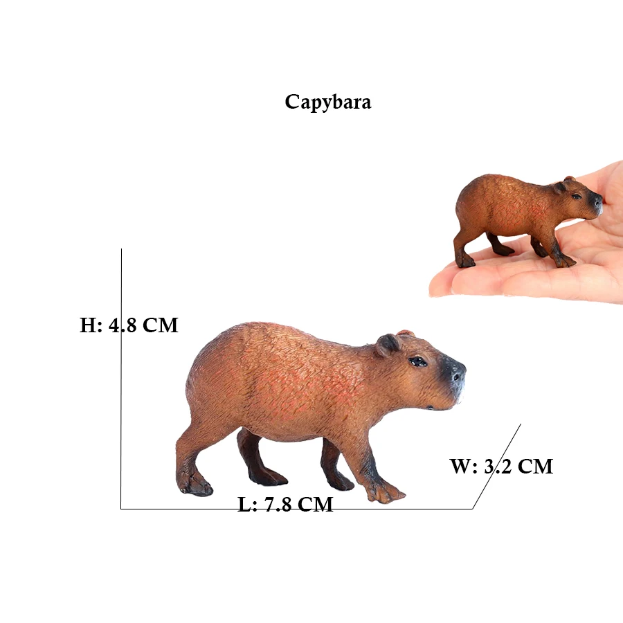 Capibara Capybaras wiewiórka m – Kids Toys Review recenzja i cena