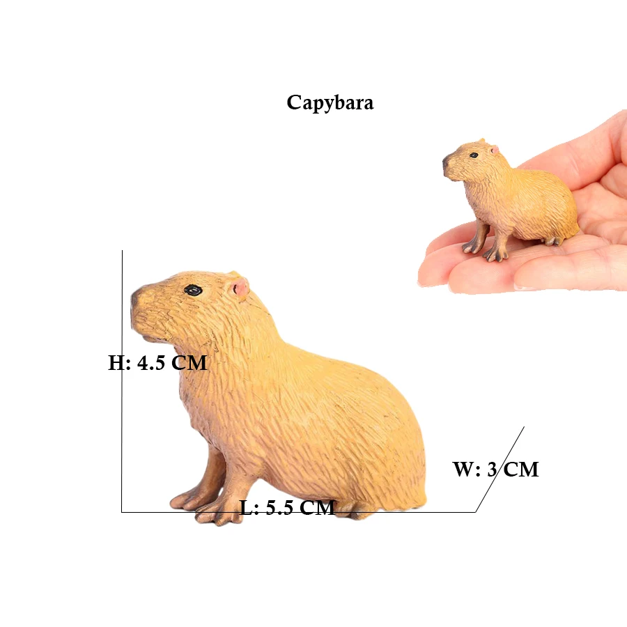 Capibara Capybaras wiewiórka m – Kids Toys Review recenzja i cena